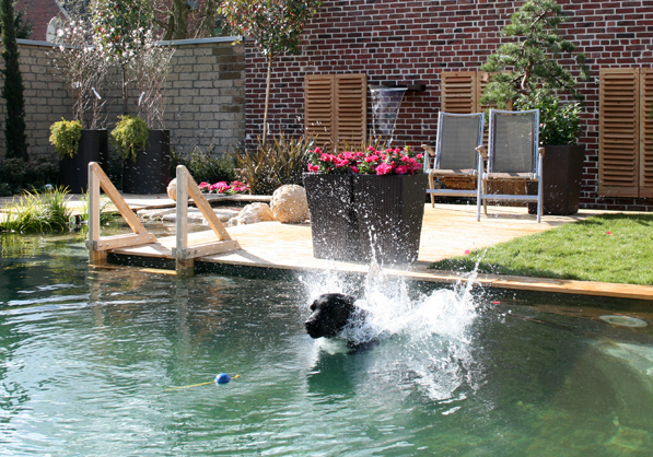 Schwimmteiche von Gartenpartner Bitters, Dingden - BioNova Badeteiche, Pools, Naturteiche, NRW
